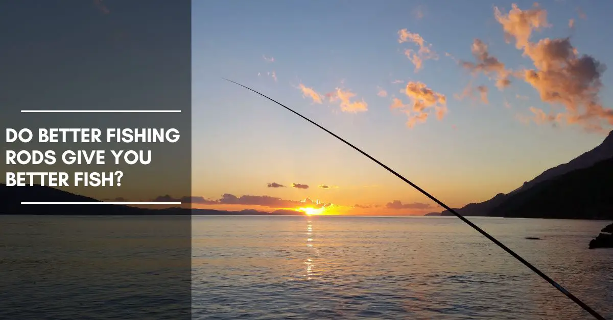 Do Better Fishing Rods Give You Better Fish?