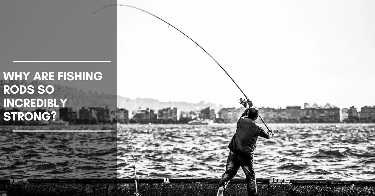 Why Are Fishing Rods So Incredibly Strong?