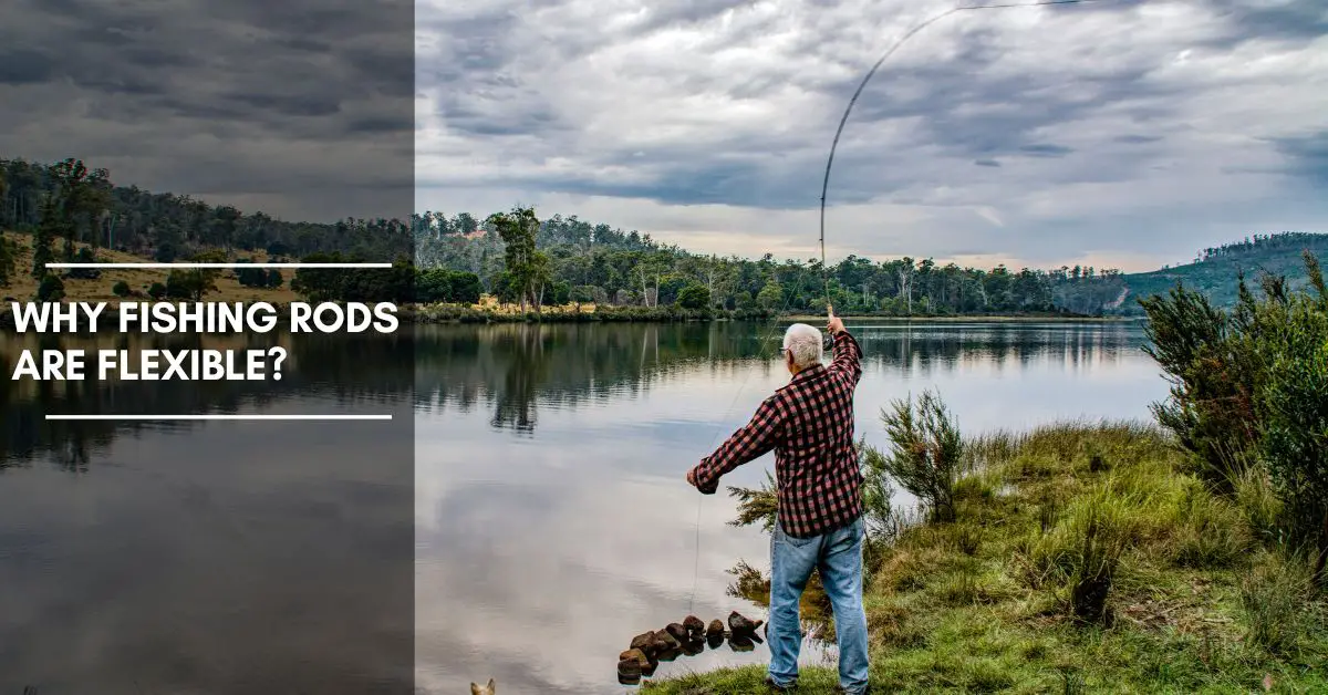 Why Fishing Rods are Flexible and How it Enhances Your Fishing Experience?