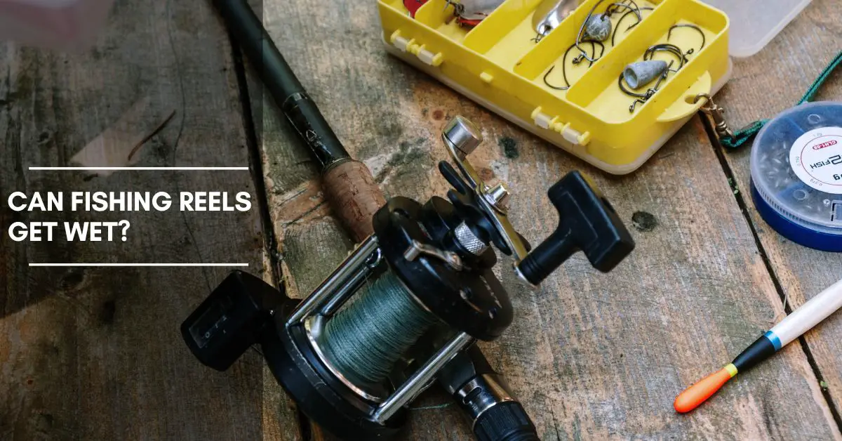 Can Fishing Reels Get Wet? How to Protect and Maintain Your Reel for Optimal Performance