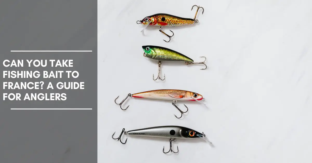 Can You Take Fishing Bait to France? A Guide for Anglers