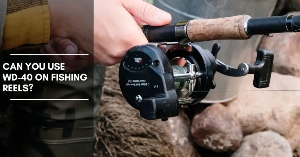 Can You Use WD40 on Fishing Reels? Fishing Reel Lubrication and Maintenance The Fishing Cove