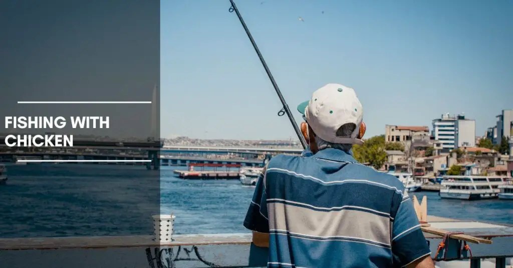 Fishing with Chicken How to Prepare and Use Chicken Parts as Bait for