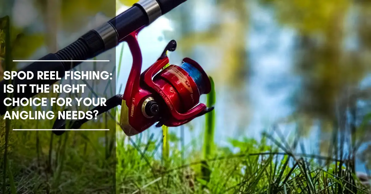 Spod Reel Fishing: Is It the Right Choice for Your Angling Needs?
