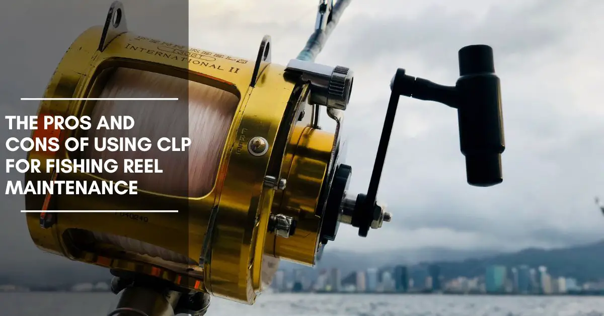 The Pros and Cons of Using CLP for Fishing Reel Maintenance – The Fishing  Cove