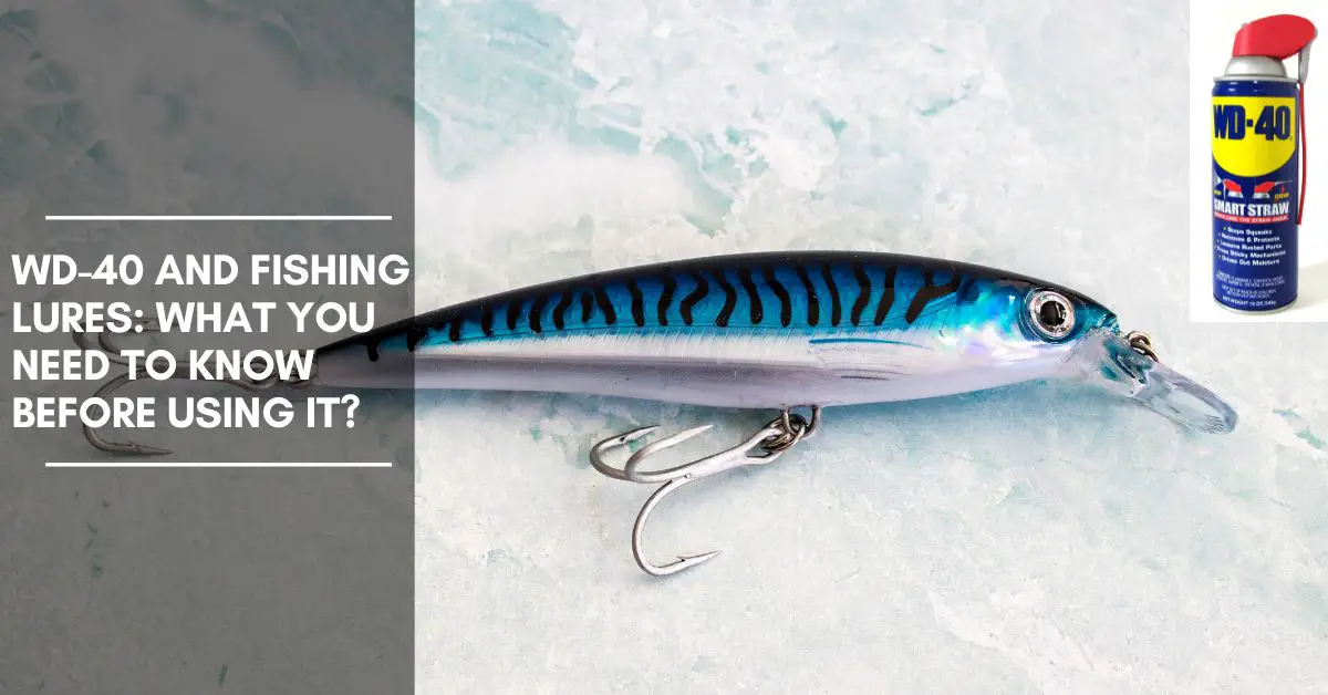 WD-40 and Fishing Lures: What You Need to Know Before Using It?