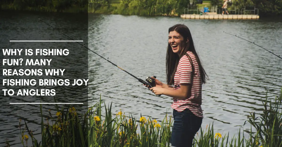 Why is Fishing Fun? Many Reasons Why Fishing Brings Joy to Anglers
